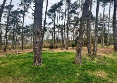 Ferienhäuser Usedom