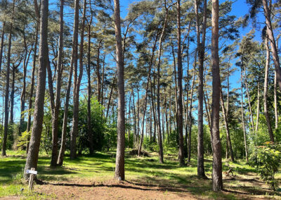 Ferienhäuser Usedom