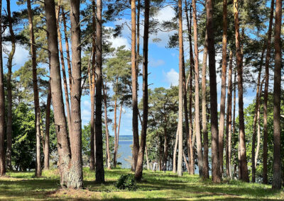 Ferienhäuser Usedom